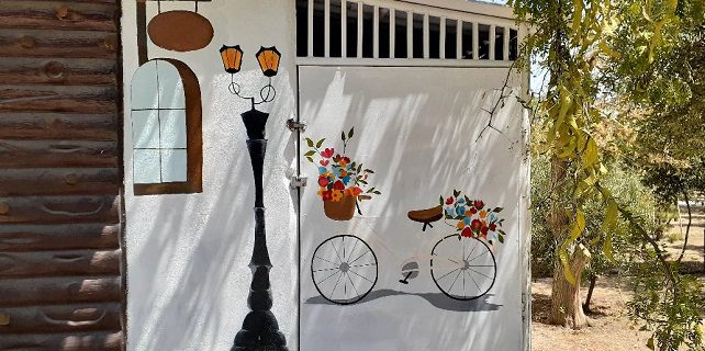 اجرای طرح «رویای آبی» در خانه دوچرخه منطقه ۱۴